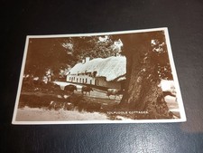 Thatched Cottages & Cattle, TOLPUDDLE, Dorset RP