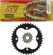REGINA Chain and Sprocket Kit