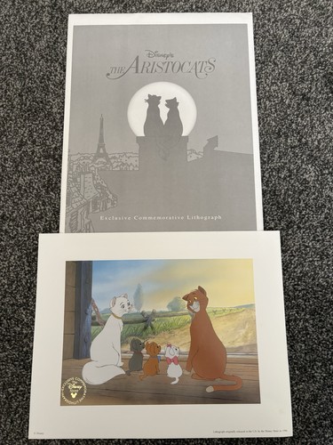 Disney store limited edition - store,