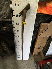 Blackthorn SHANK WALKING STICK