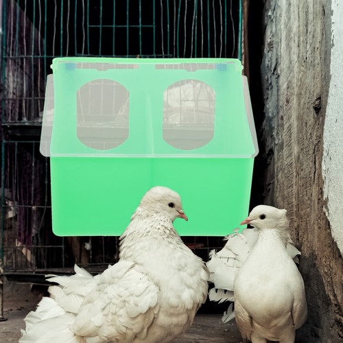 Multi grid feeder hanging - hanging, box