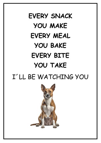 Basenji be watching - i’ll,
