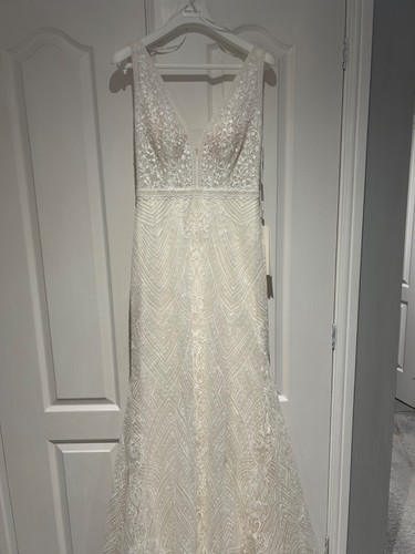 Rosa clara cher wedding dress - cher,