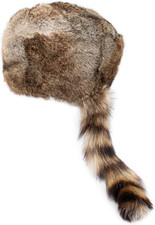 Coonskin Davy Crockett Hat -