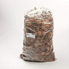 Pine Cones (Austriaca Cones)