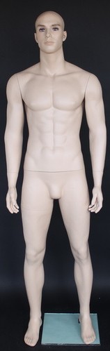 Tall male muscular body - tall,