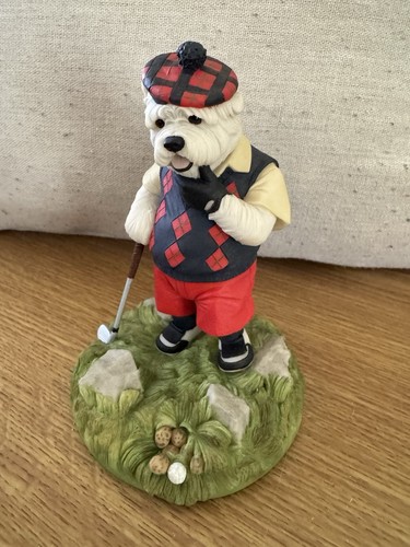 Westie dog west highland - westie,