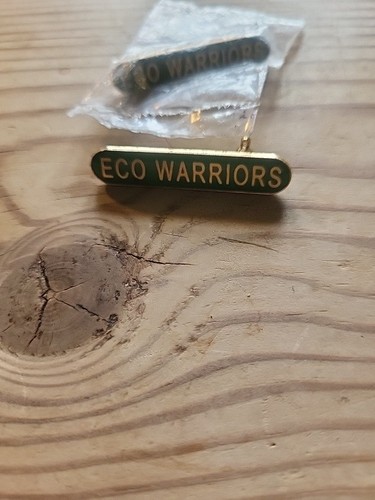 School bar pin - school, enamel