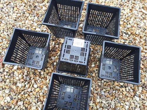 11cm square aquatic - 6,