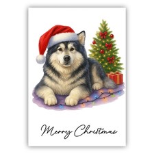 Alaskan Malamute Christmas Dog