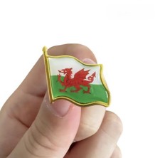 Wales Welsh Dragon Enamel Metal Flag Lapel Pin Badge Brooch Gold