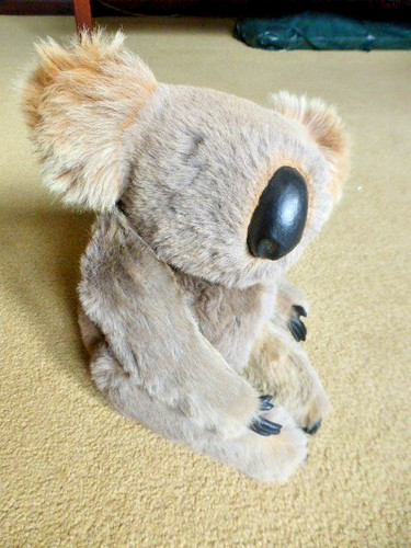Vintage koala bear real - vintage,