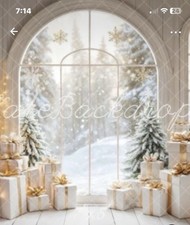 Kate Backdrop Christmas Theme