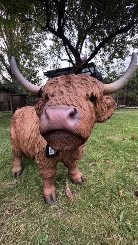 Highland cow statue - statue-brand, new