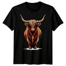 Highland Cow Highland Cattle