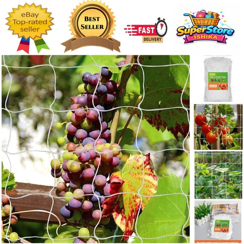 Versatile 5ft 15ft plant - versatile,