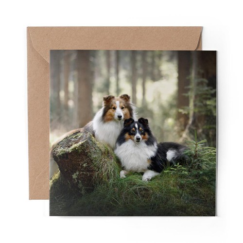 Blank greeting card - x,