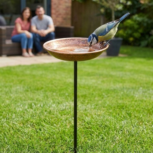 Inch metal bird bath - bird,