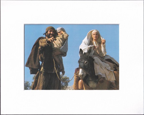 8x10 matted print - matted, picture