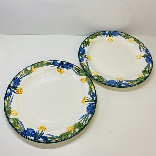 Poole pottery sponge ware - sponge,