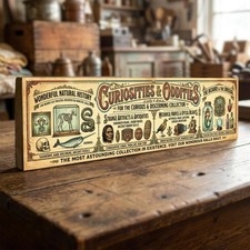 Curiosities & Oddities