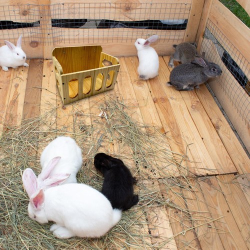 Rabbit hay feeder rack sturdy - feeder,