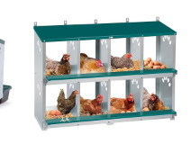 Compartment metal chicken - compartment,
