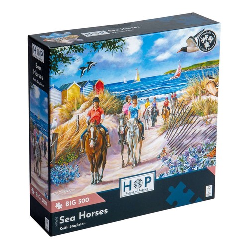The house puzzles sea - house,