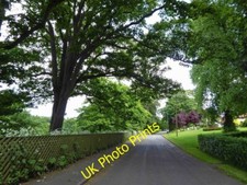 Photo 6x4 Crowtree Lane Louth