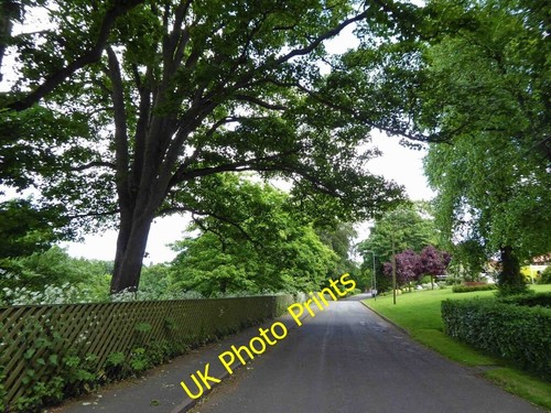 Photo 6x4 crowtree lane louth - lane,