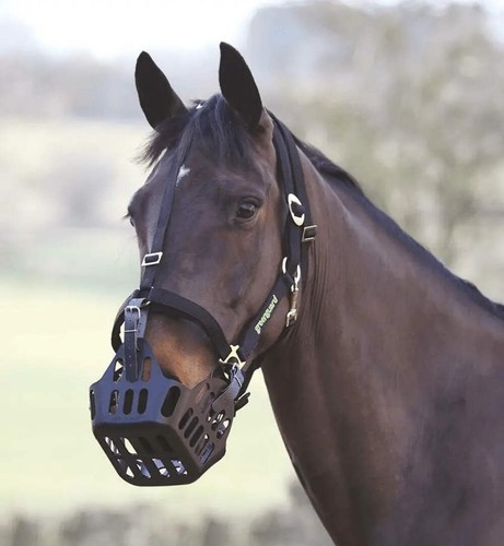 Shires greenguard grazing - shires,