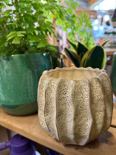 Ceramic cream indoor plant pot - indoor,
