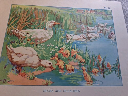 Macmillan vintage educational - vintage,