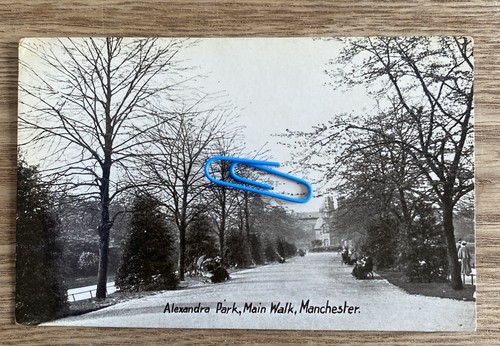Alexandra park main walk - park,,