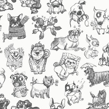 Black White Dog Wallpaper Fun