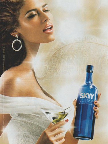 2006 skyy vodka 77 - 2006,