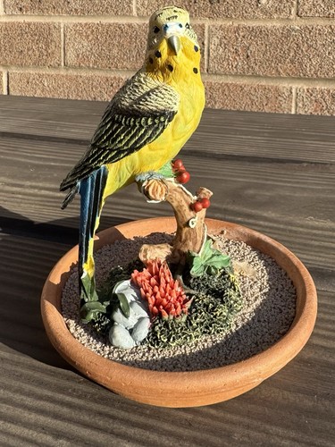 Beautiful vintage budgie - beautiful,