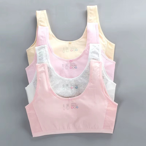 Pack puberty girls underwear - girls,