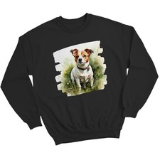 Jack Russell Dog Jack Russell