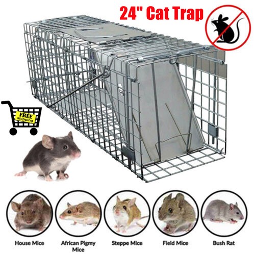 Cat trap for stray - 24",
