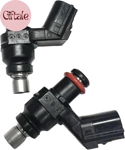 Fuel injector compatible - fuel, with