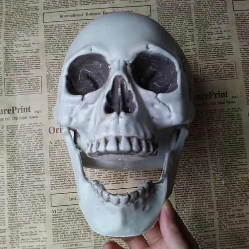 Realistic plastic skull head - plastic,