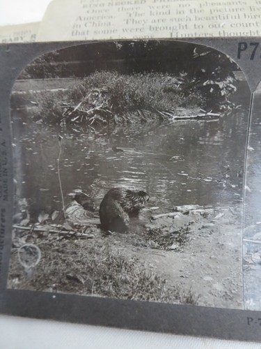 Keystone view stereoview - keystone,