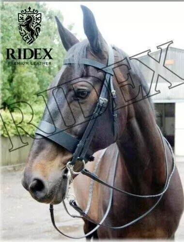 Hunting horse leather - hunting, bridle