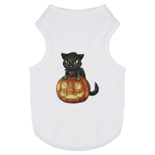 Halloween kitten pet dog - 'halloween,
