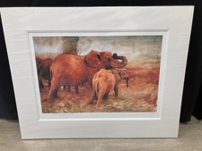 ROLF HARRIS Limited Edition