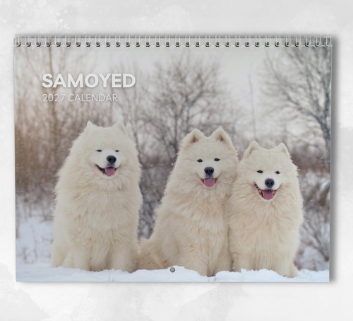Samoyed calendar 2027 - samoyed, 2027: