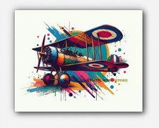 Vintage airplane WWI Sopwith