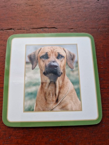 Rhodesian ridgeback coaster - rhodesian,