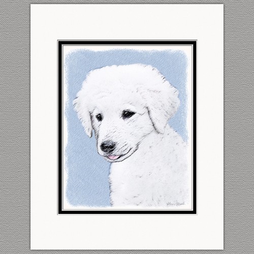 Kuvasz puppy original art - puppy,